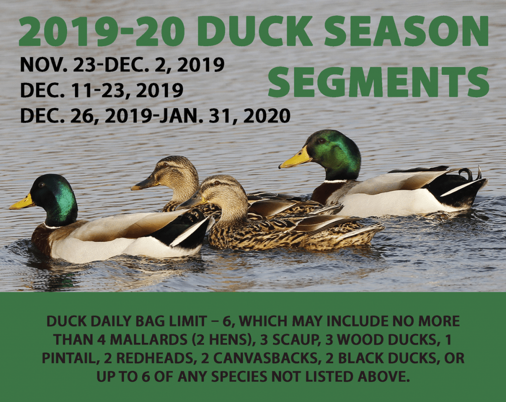 Duck Season Opens November 23rd Deltaplex News