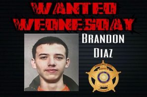 palmview crimestoppers wanted