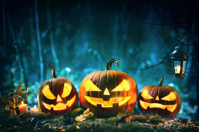 halloween jack-o-lanterns in forest spooky