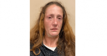 lynette stewart mugshot