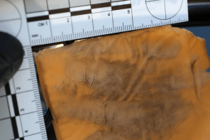 cheese slice with fingerprints