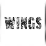 m_wings_0909252028129451473