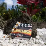 e_untamed_030426294011