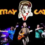 m_straycats_1028252028129279934