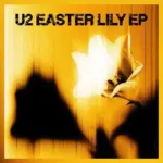 m_u2easterlily_040226362087