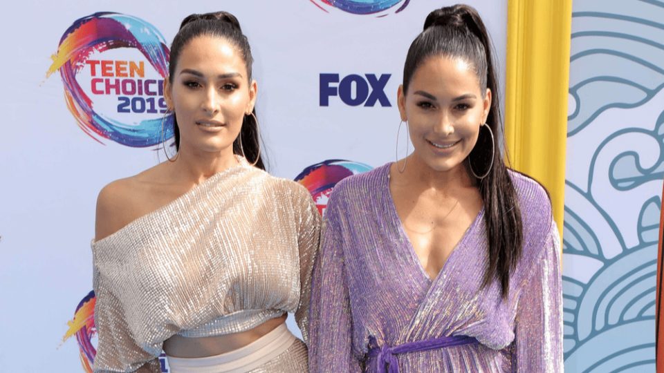 Nikki & Brie Bella Reveal Their Newborn Babies' Names And Share First ...